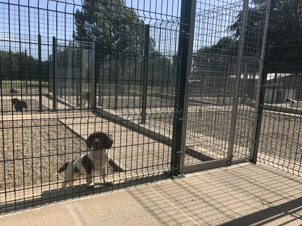 Inch House Boarding Kennels - Leinster pet otel görseli 7