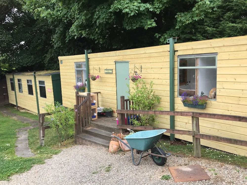 Stepaside Cattery - Leinster pet otel görseli 6