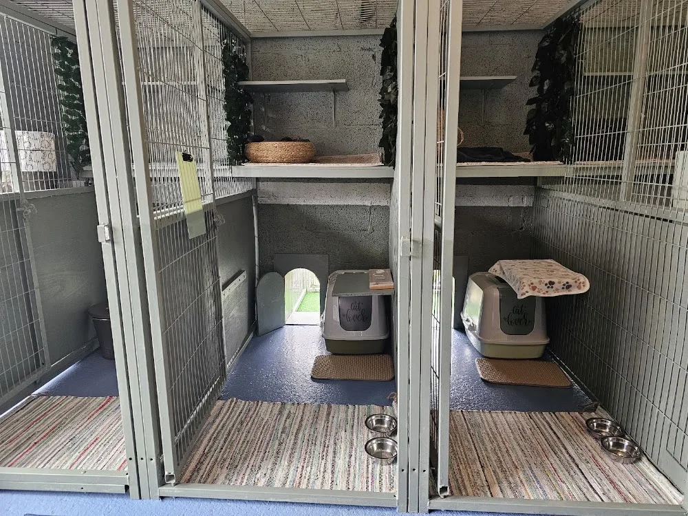 The Catnap Hotel - Leinster pet otel görseli 3