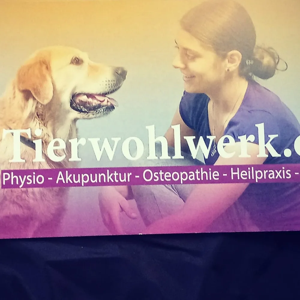 Anja's Tierbetreuung - Leipzig pet otel görseli 4