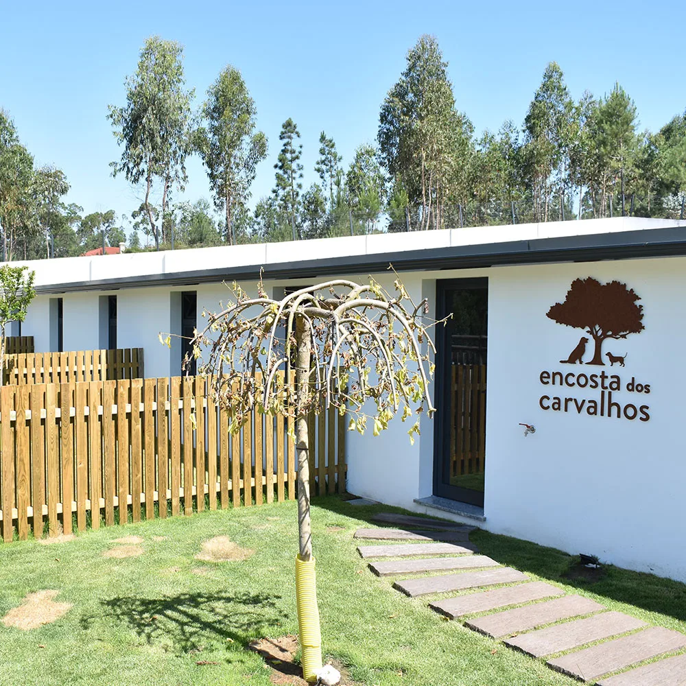 Encosta dos Carvalhos - Pousada e Hotel Canino - Leiria pet otel