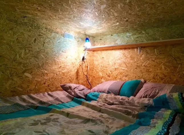 Green Cat Hostel - Leningrad pet otel