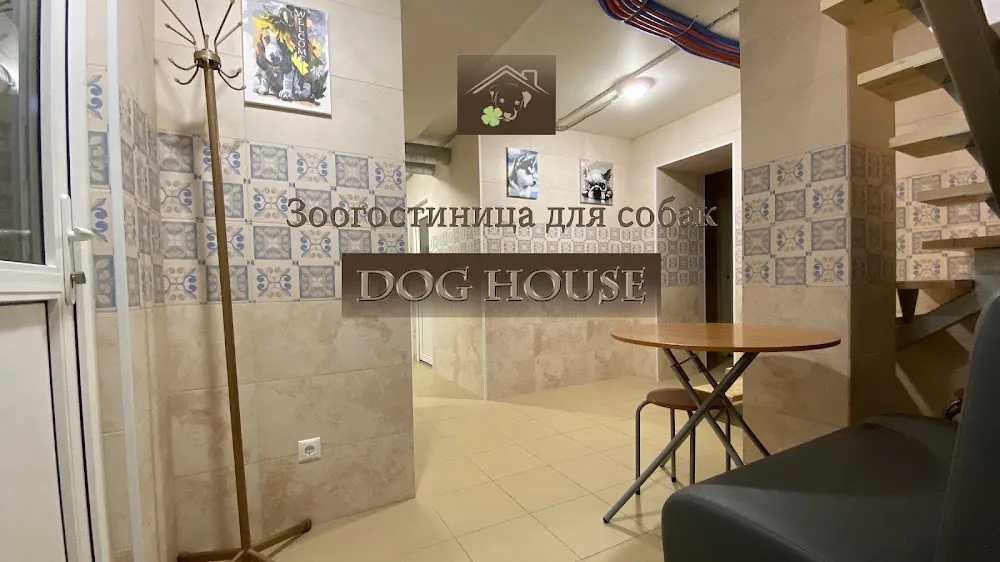 Зоогостиница Dog House - Leningrad pet otel