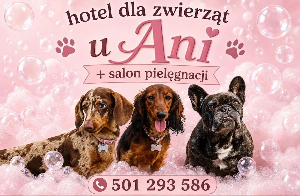 Hotel dla zwierząt, salon pielęgnacji u Ani - Lesser Poland pet otel