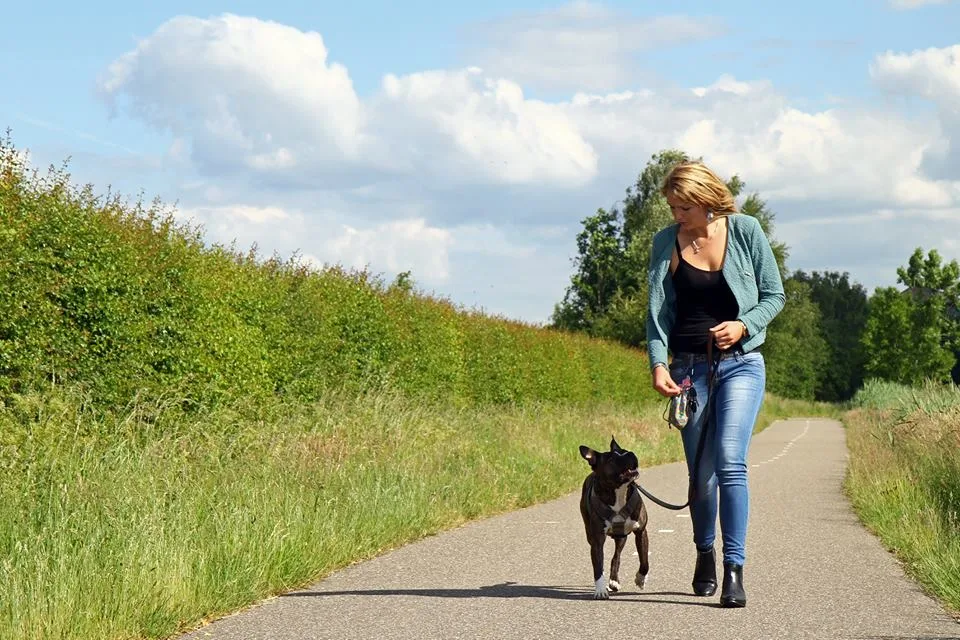 "Spin & Kwispel" hondenschool, uitlaatservice, konijnenpension en dierverzorging omg Leusden - Leusden pet otel