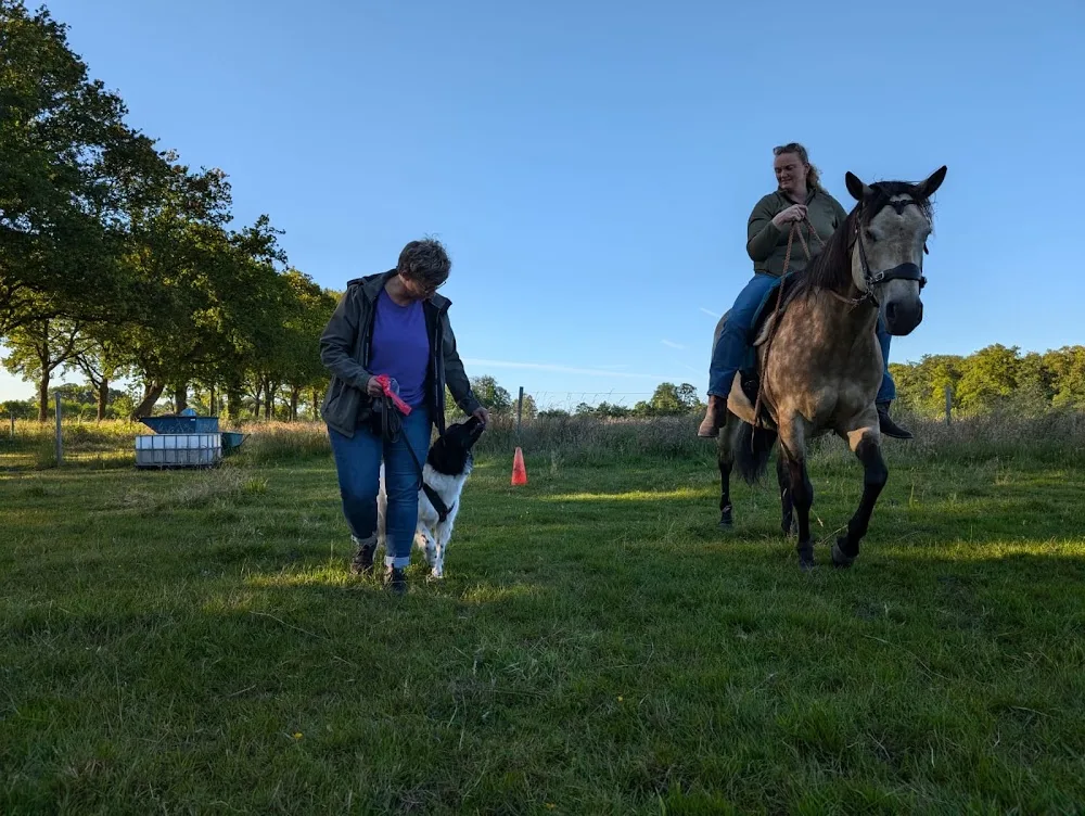 "Spin & Kwispel" hondenschool, uitlaatservice, konijnenpension en dierverzorging omg Leusden - Leusden pet otel görseli 3