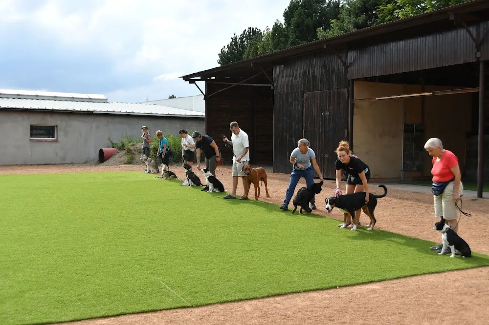 DOGvillage - Liberec pet otel görseli 3