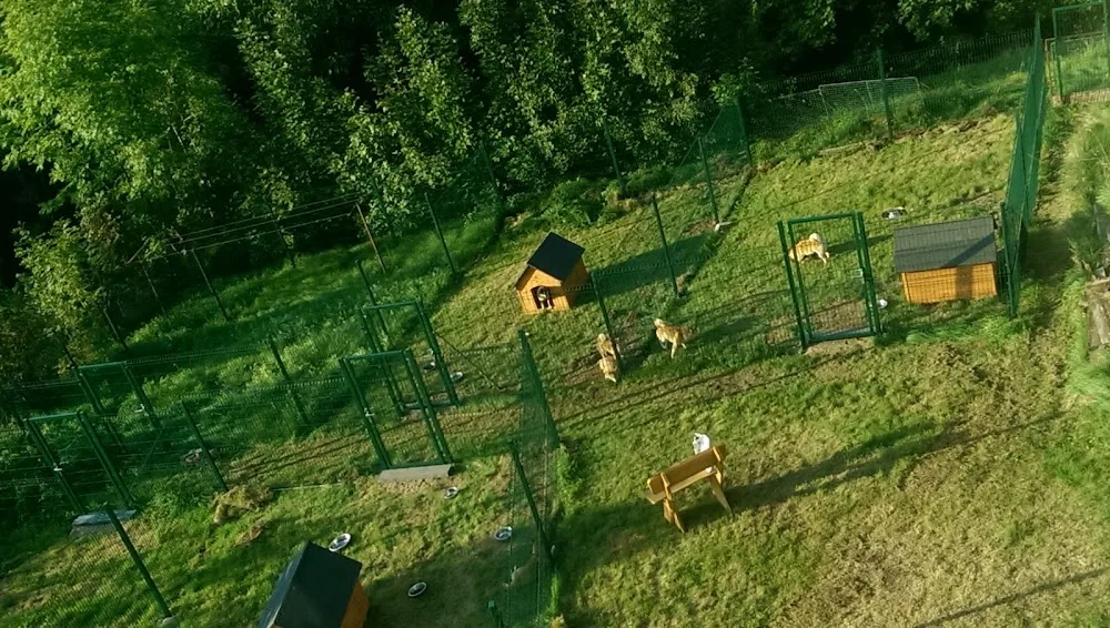 Kennel Incipita Vita Shiba - Liberec pet otel