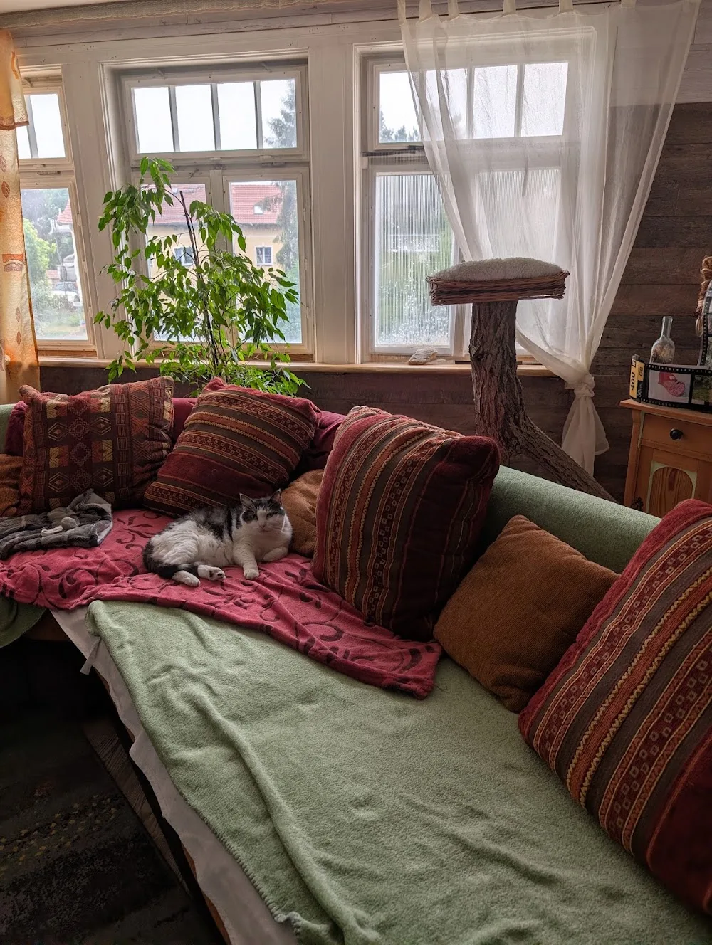 Katzenpension Pufe - Liberecký kraj pet otel görseli 3