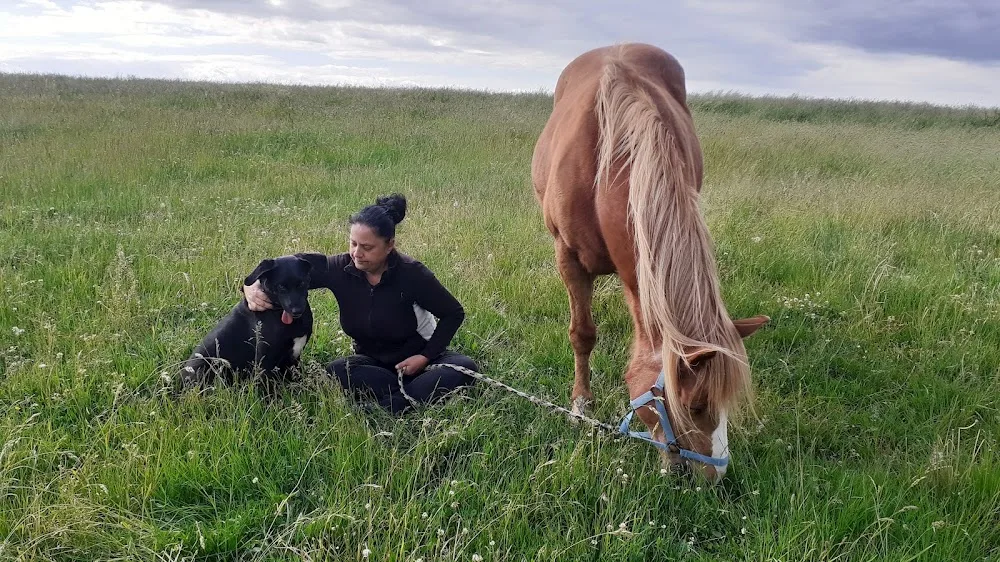 Anja Gißler Mobile Tierbetreuung - Lichtentanne pet otel