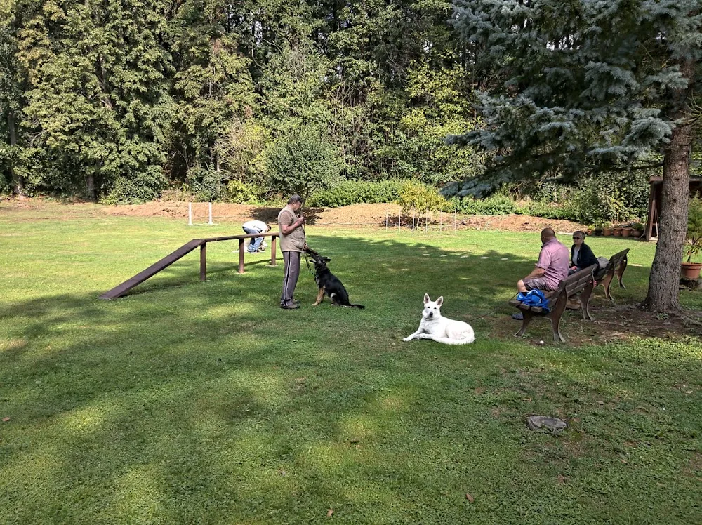 Hundeschule und Pension Wiedener - Lichtentanne pet otel
