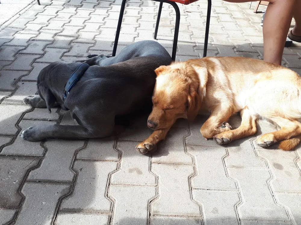Tierpension am Kiefernbusch - Stefanie Möckel - Pohl - Lichtentanne pet otel