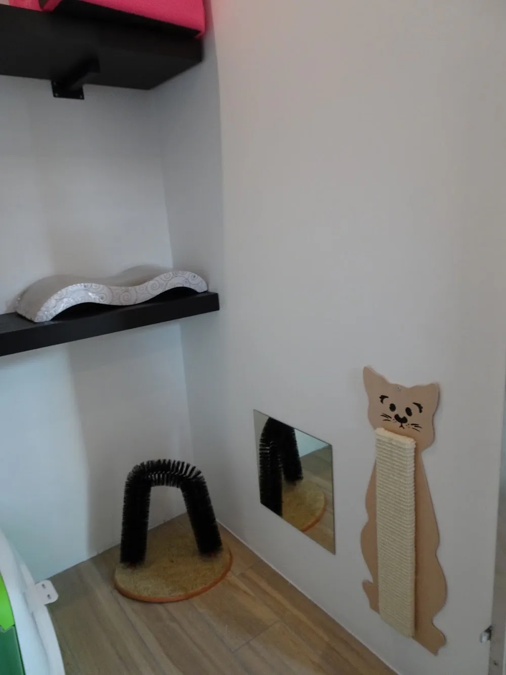 Au chat perché - Liège pet otel görseli 6