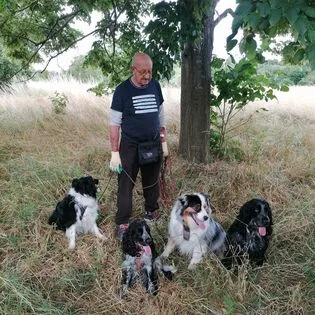 Dog Spirit by Catimini - Cathy Heins - coach canin - pension canine - éducation - mantrailing - élevage - Liège pet otel