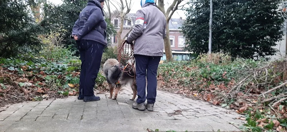 Dog Spirit by Catimini - Cathy Heins - coach canin - pension canine - éducation - mantrailing - élevage - Liège pet otel görseli 3