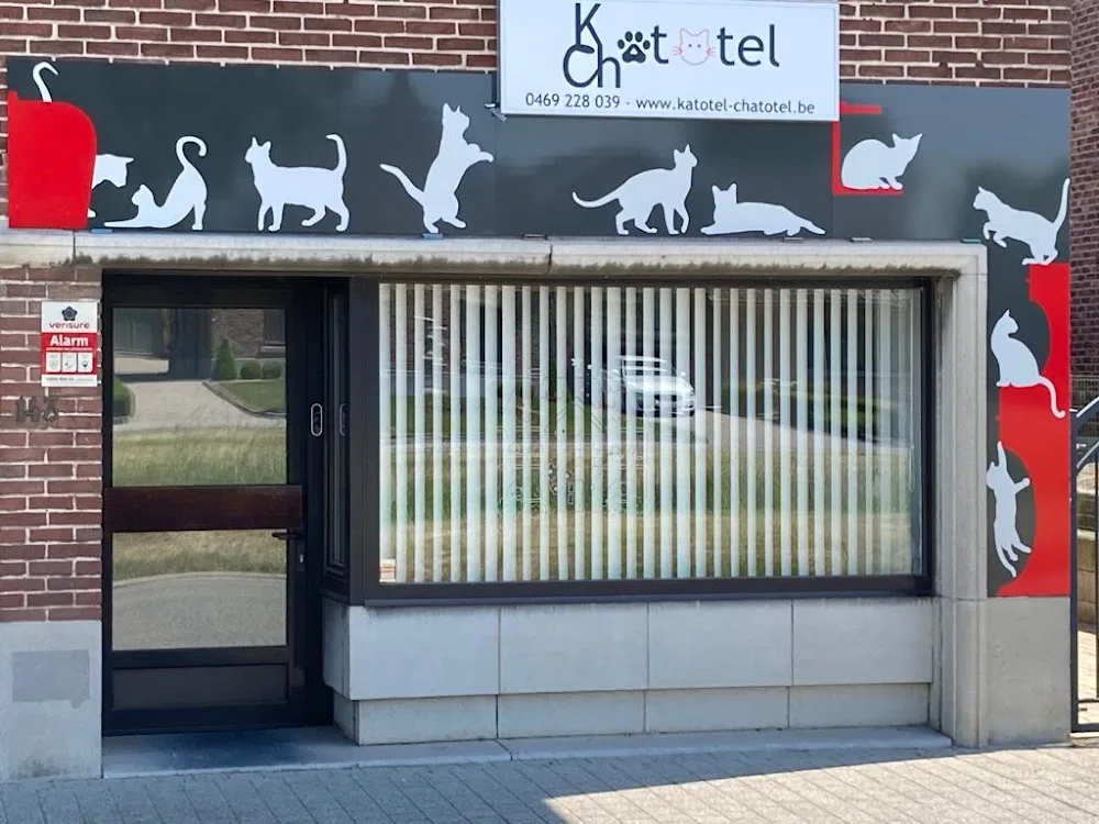 Kattenhotel Katotel-Chatotel - Liège pet otel görseli 3