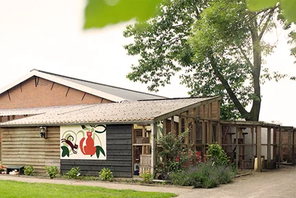 Kattenpension De KattenBurg - Liempde pet otel görseli 2