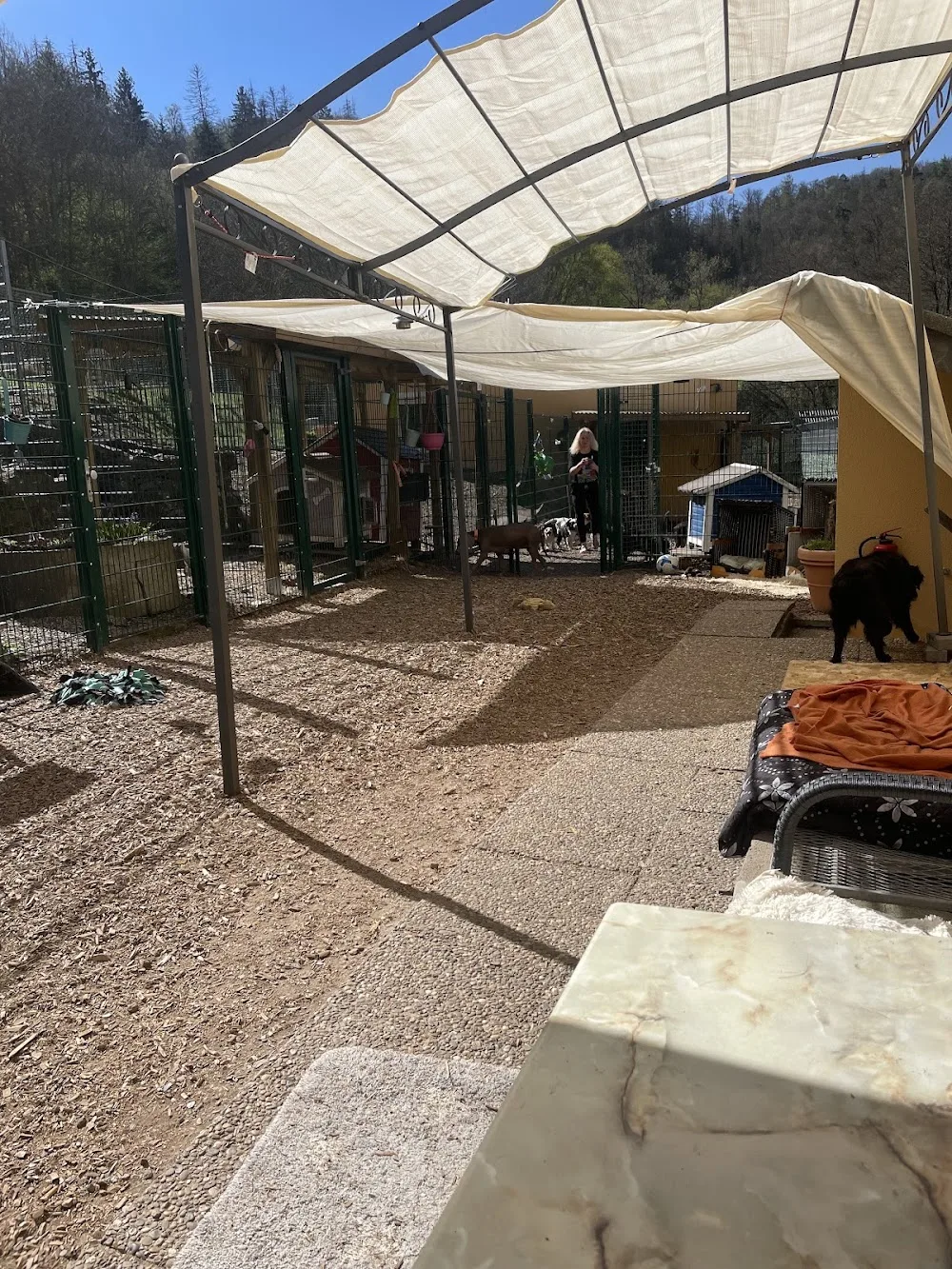 Deine Hundepension Best Friends - Lierschied pet otel görseli 3