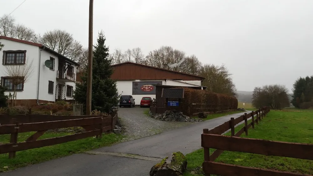 Hundpension 4 Pfoten - Lierschied pet otel