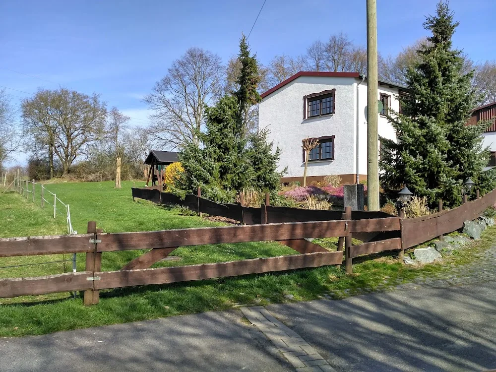Hundpension 4 Pfoten - Lierschied pet otel görseli 3