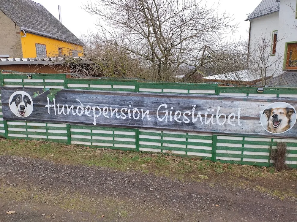 Tierschutzhof Gieshübel - Lierschied pet otel görseli 2
