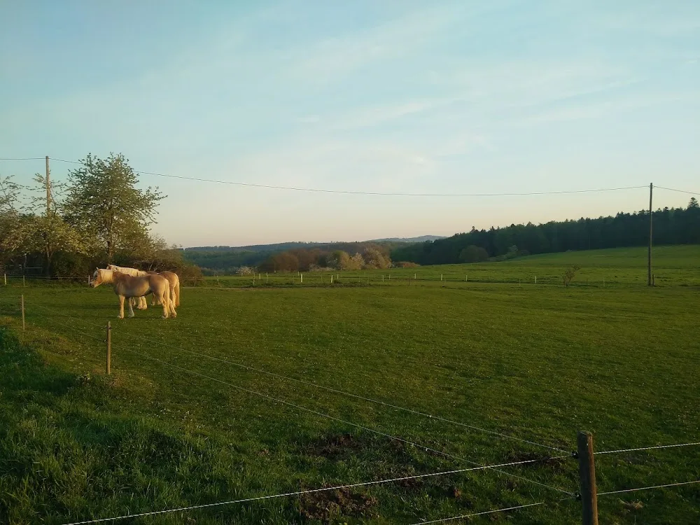 Tierschutzhof Gieshübel - Lierschied pet otel görseli 3