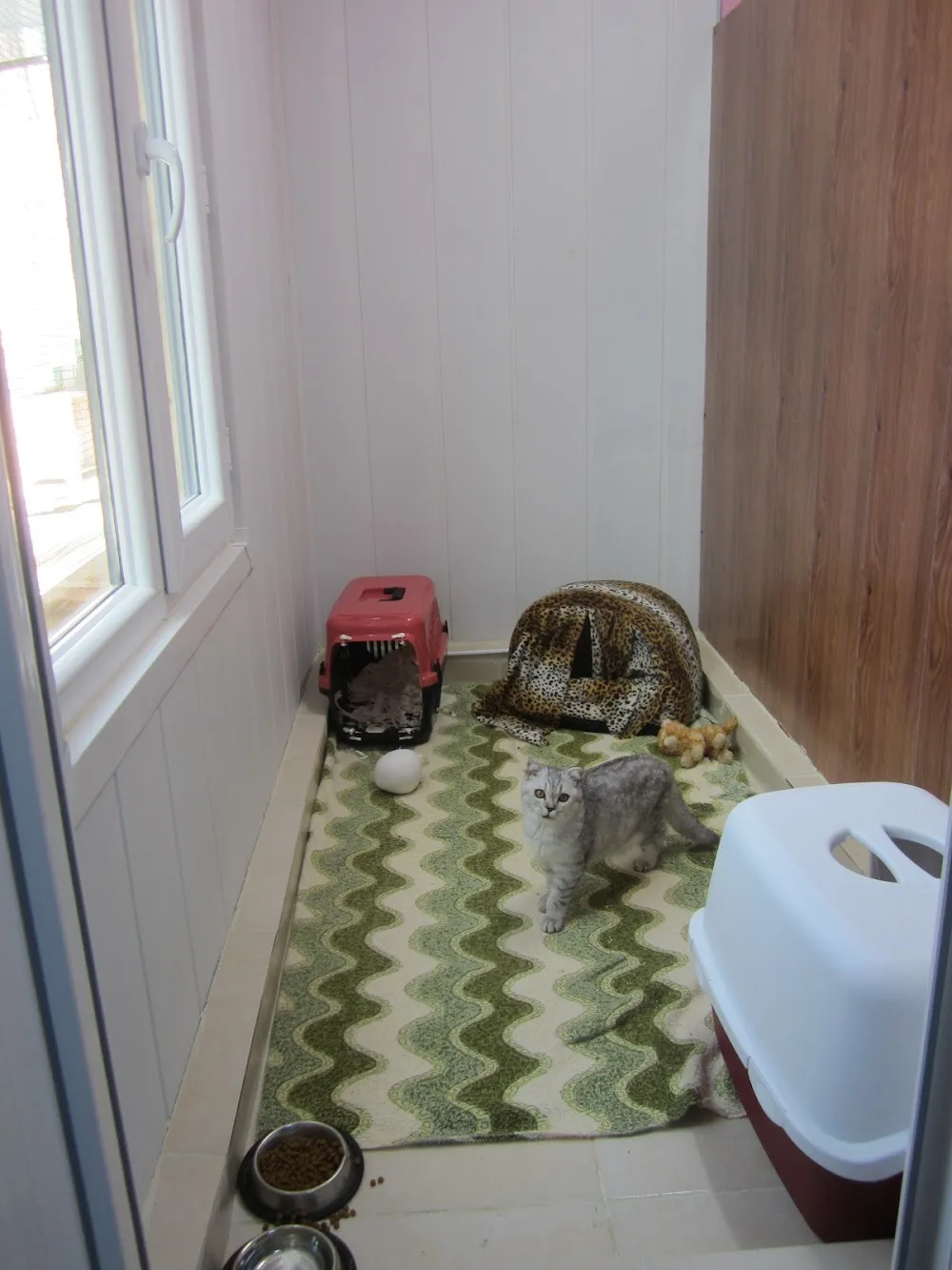 Life Pet Evi - Kocaeli pet otel görseli 3