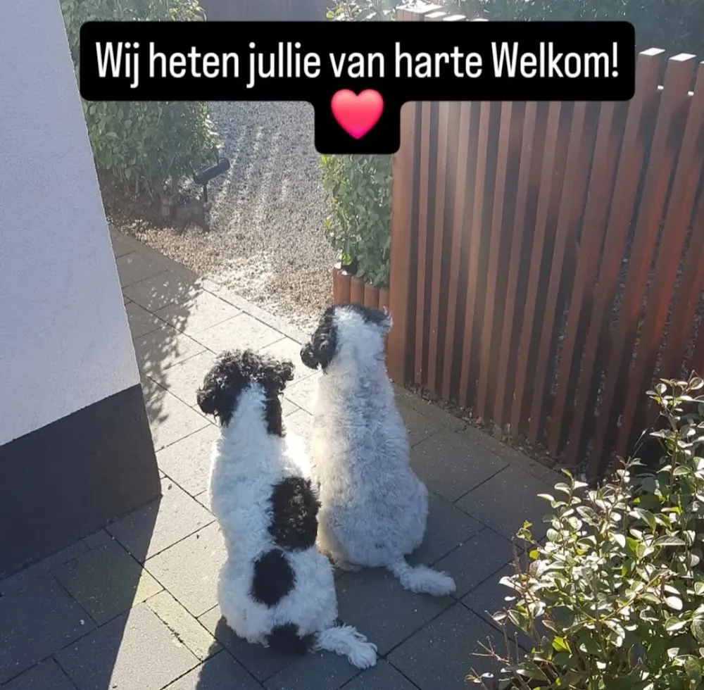 De hondenbloem - Limburg pet otel