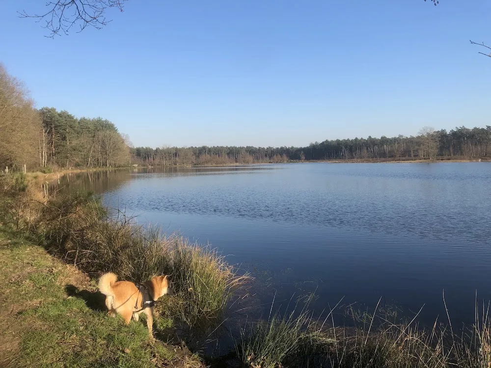 Den Ark Hondenpension - Limburg pet otel görseli 2