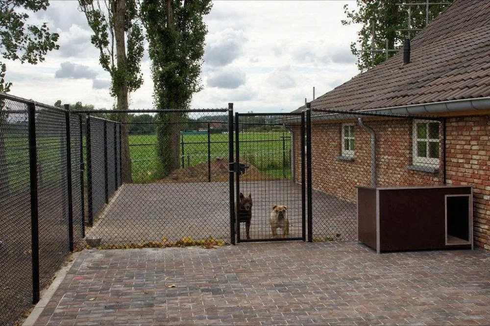 Hondenhotel De Kaltishoeve - Limburg pet otel