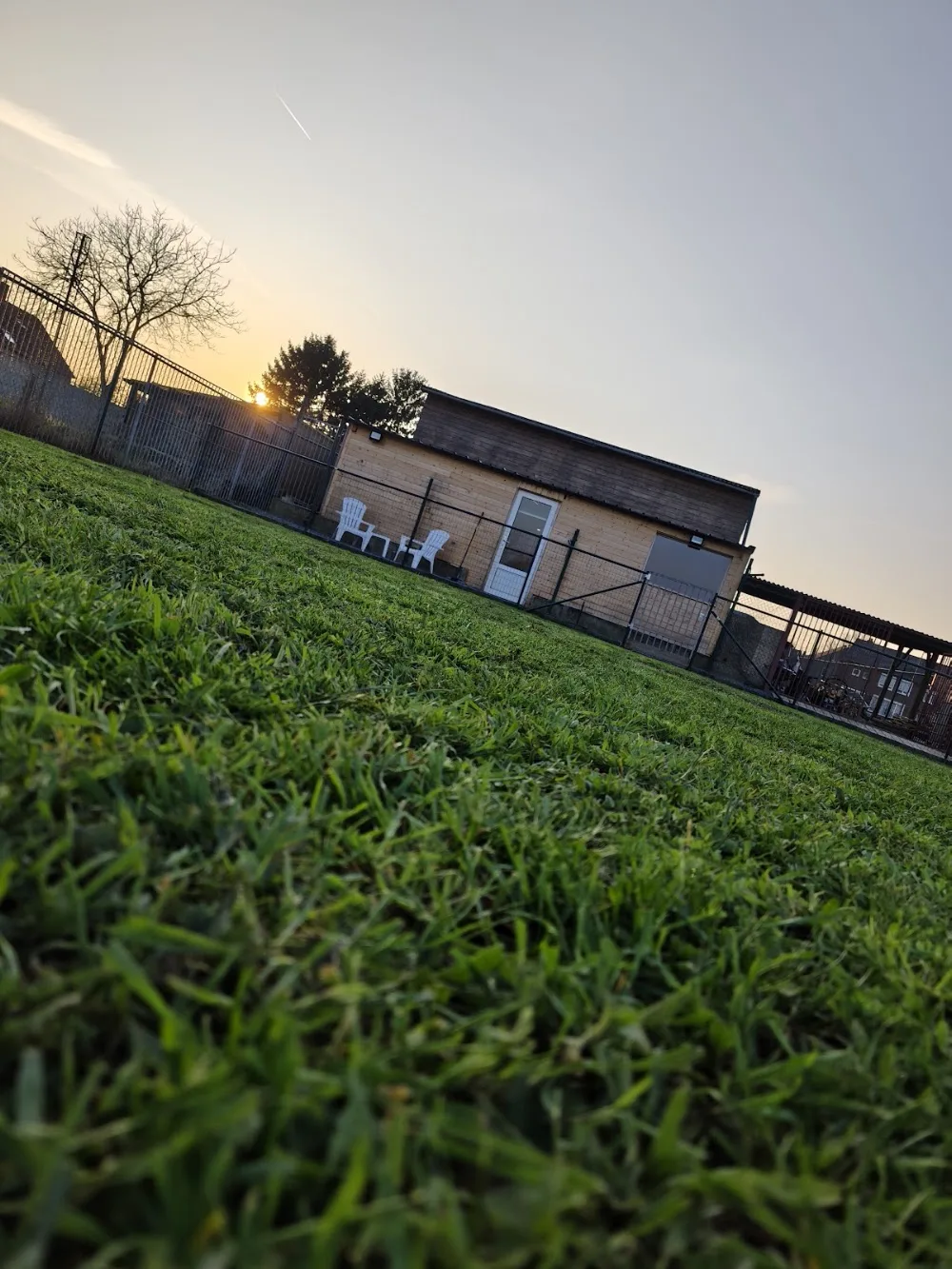 Hondenpension Hondencoach Kelly - Limburg pet otel görseli 2