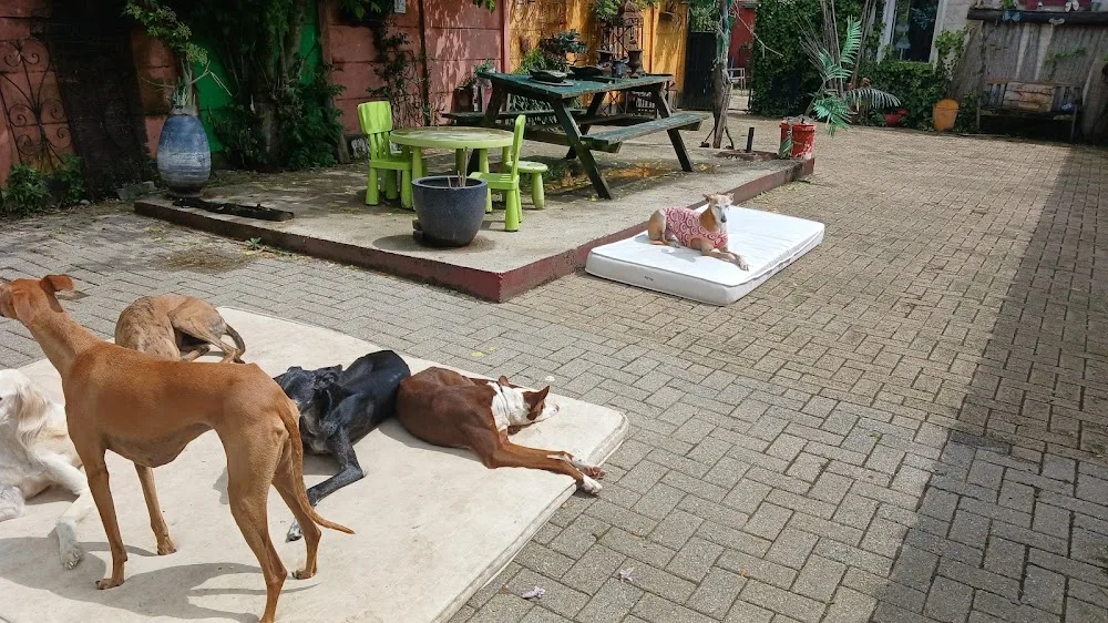 Royal Dog Resort - Limburg pet otel