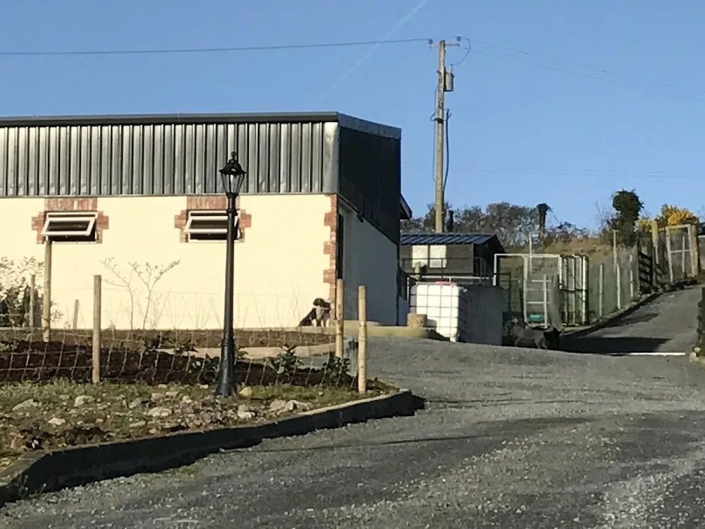 Abbey Boarding Kennels and Cattery Ring Anytime - Limerick pet otel görseli 7