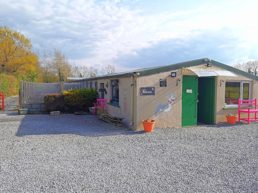 Glen Rua Boarding Kennels & Cattery - Limerick pet otel görseli 7