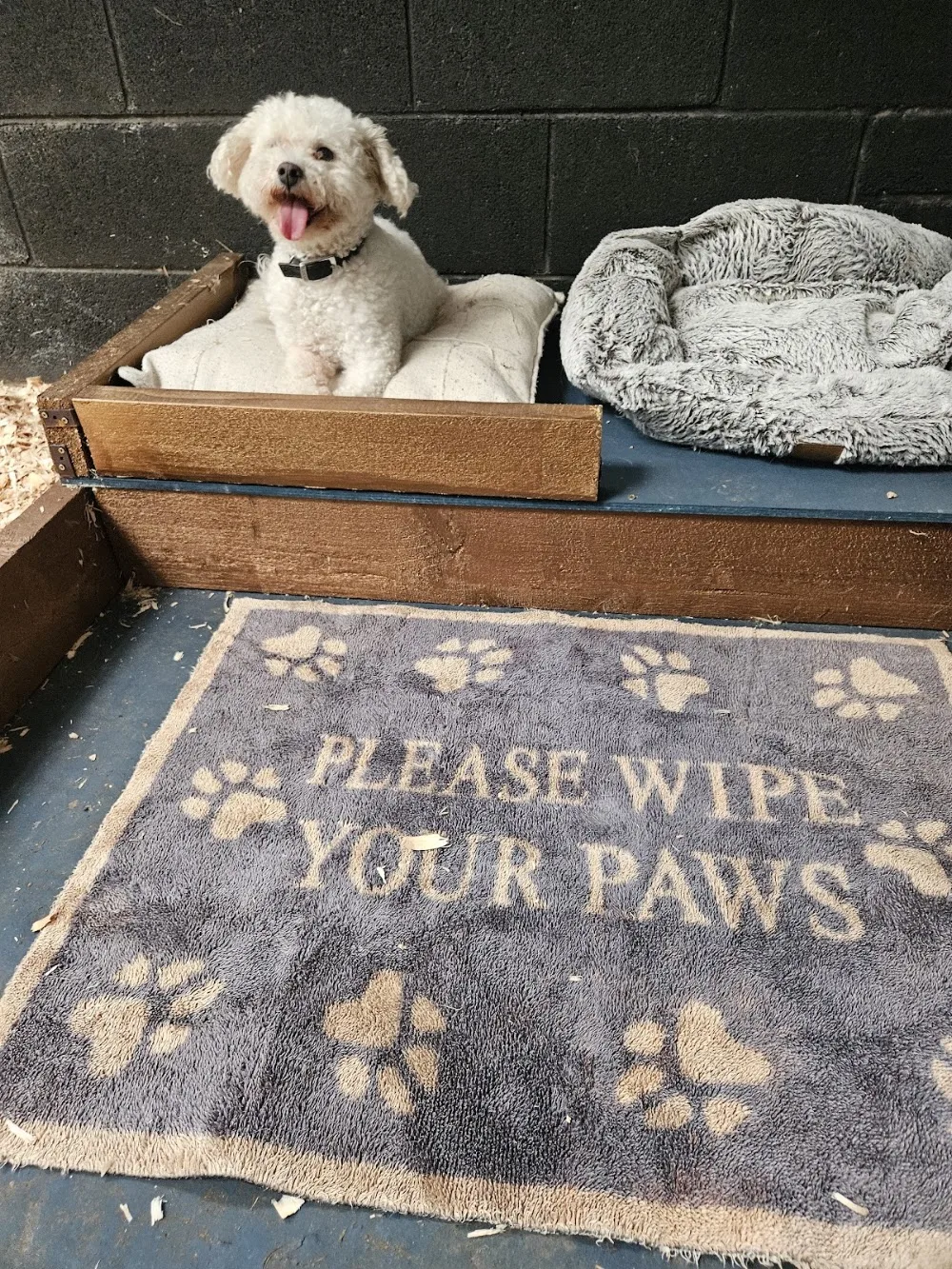 The Canine Chiropractic Clinic & Sixmilebridge Boarding Kennels - Limerick pet otel görseli 3
