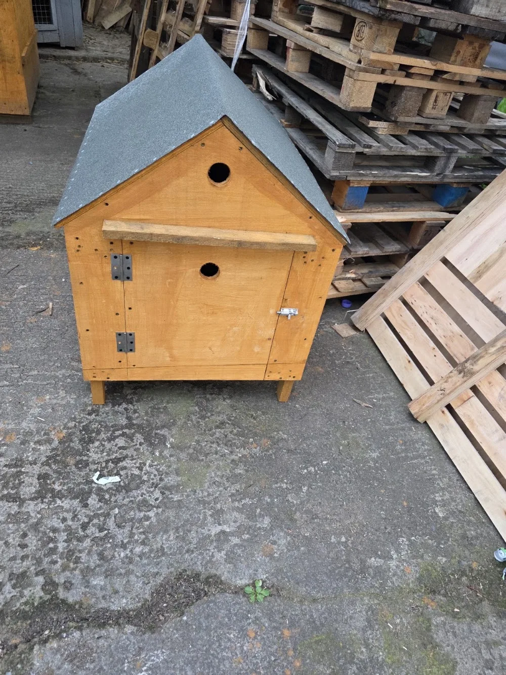 The Dogs Gaff - Limerick pet otel görseli 3