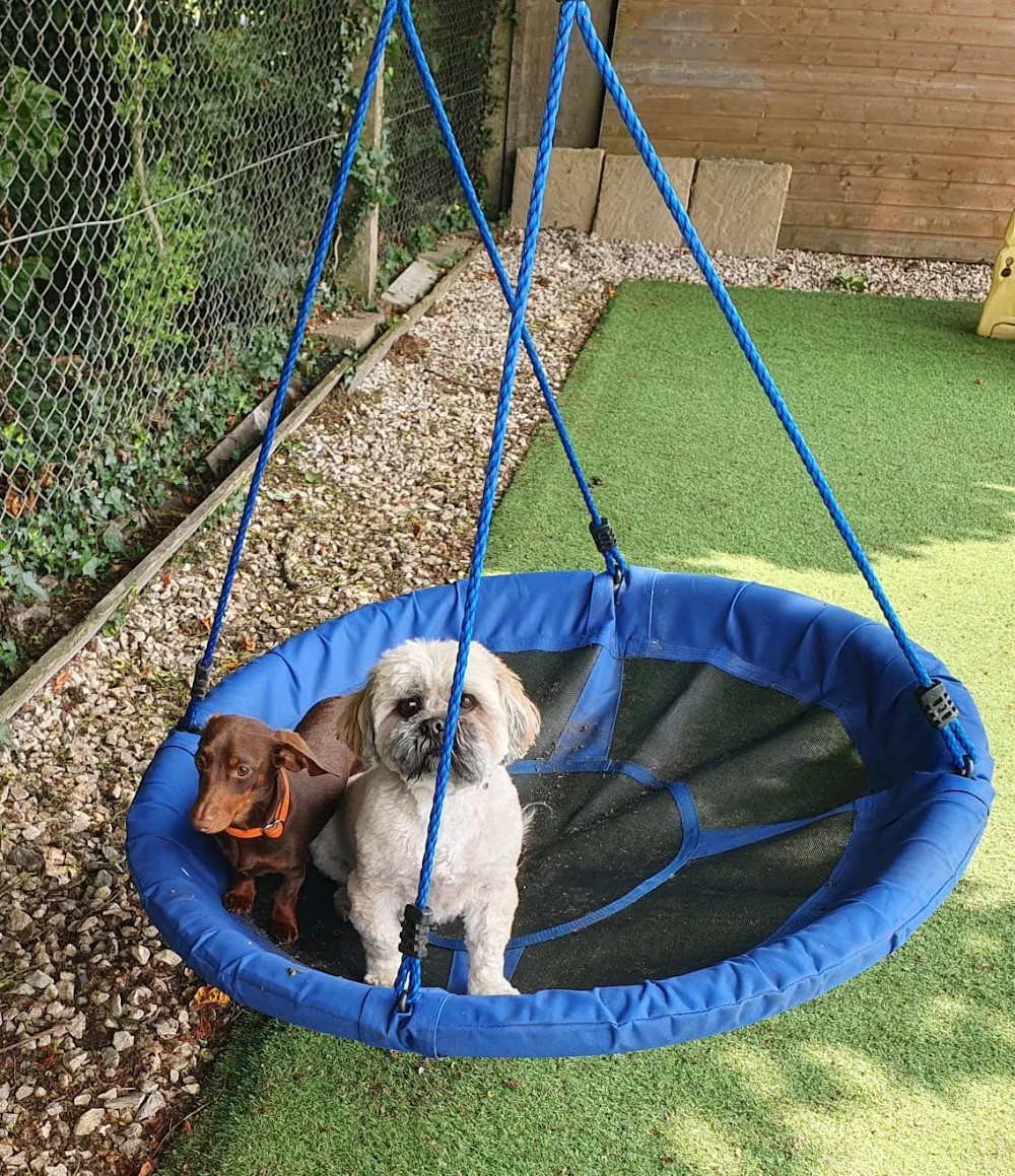 Cathedral View Kennels - Lincoln pet otel görseli 2