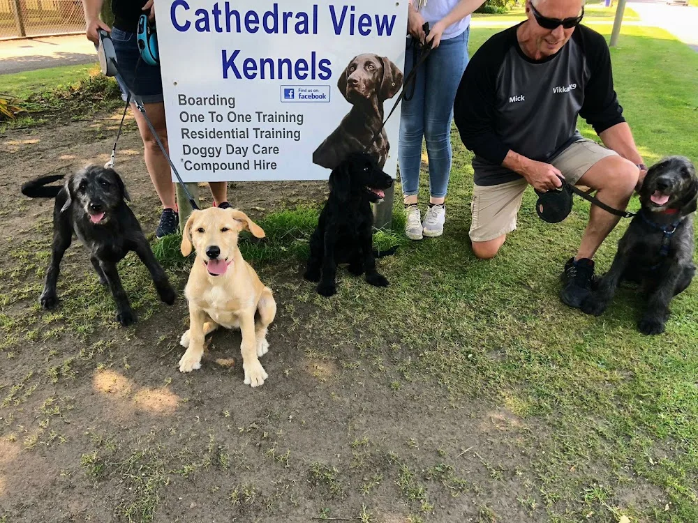 Cathedral View Kennels - Lincoln pet otel görseli 3