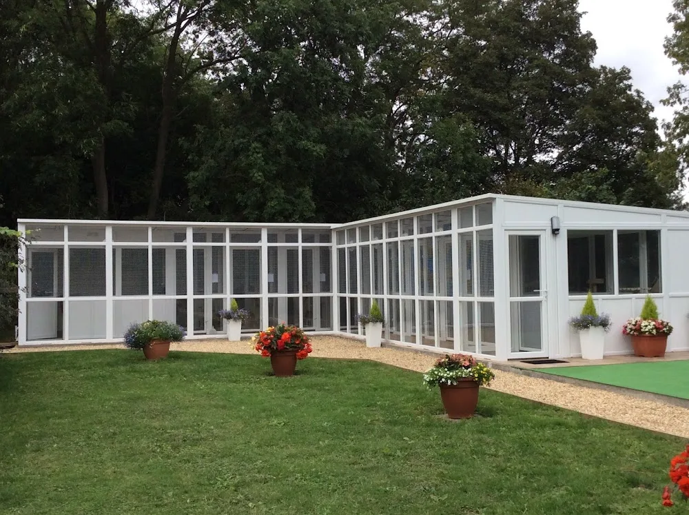 Cattery in Lincoln Willow Tree Cat Hotel - Lincoln pet otel