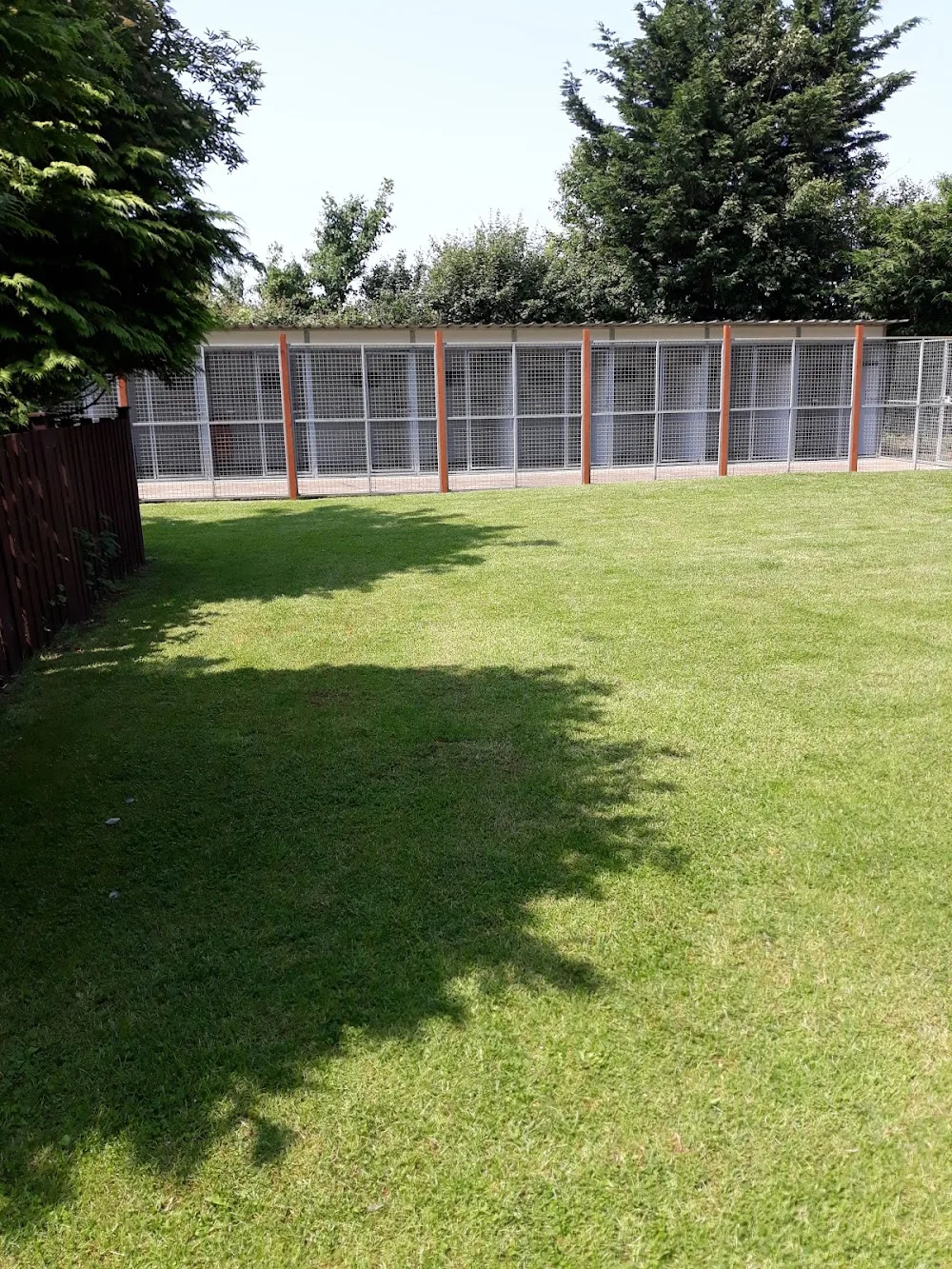 Elderberry Kennels - Lincoln pet otel görseli 2