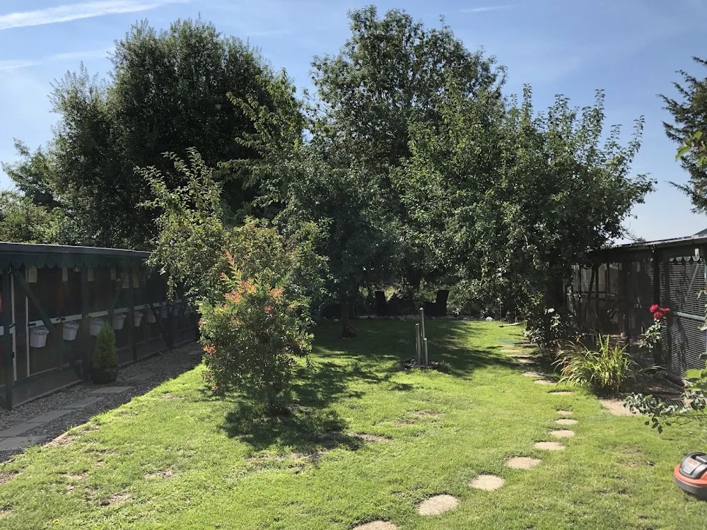 Glenrovert Cattery - Lincoln pet otel görseli 2