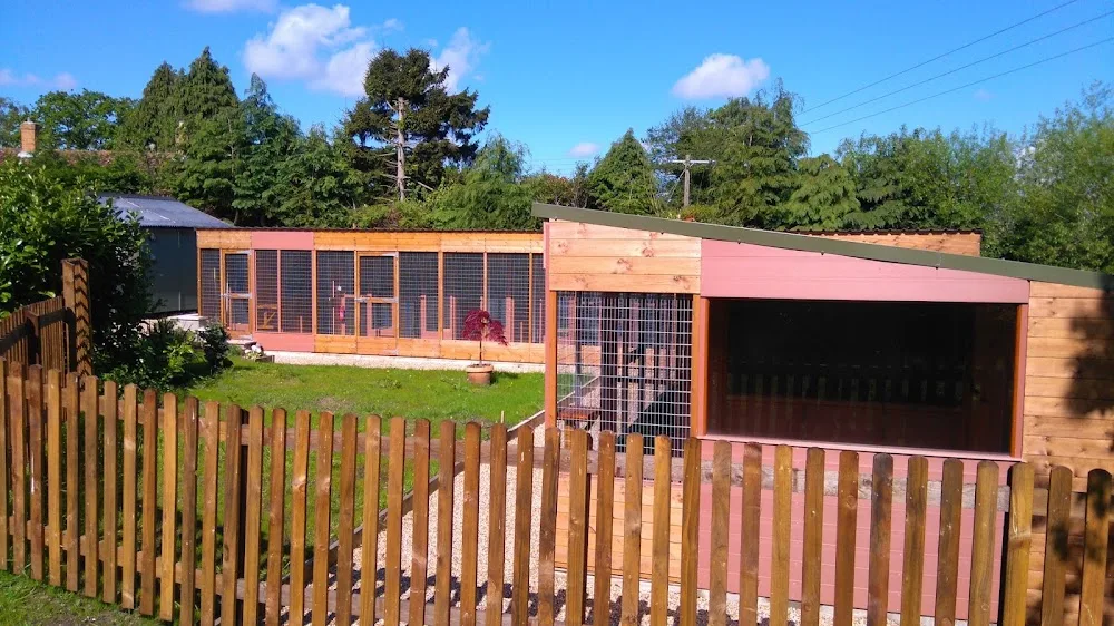 Meadow Lodge Cattery - Lincoln pet otel