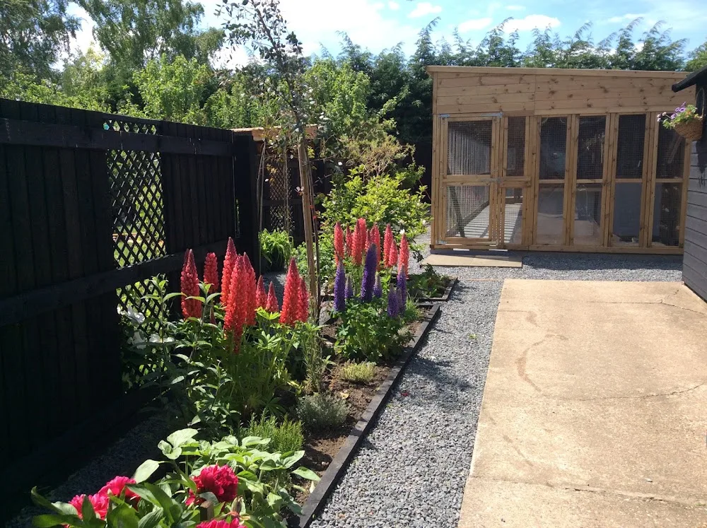 Mellows Cattery - Lincoln pet otel