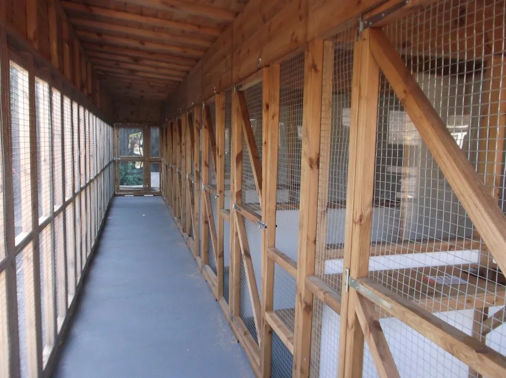 Mellows Cattery - Lincoln pet otel görseli 3