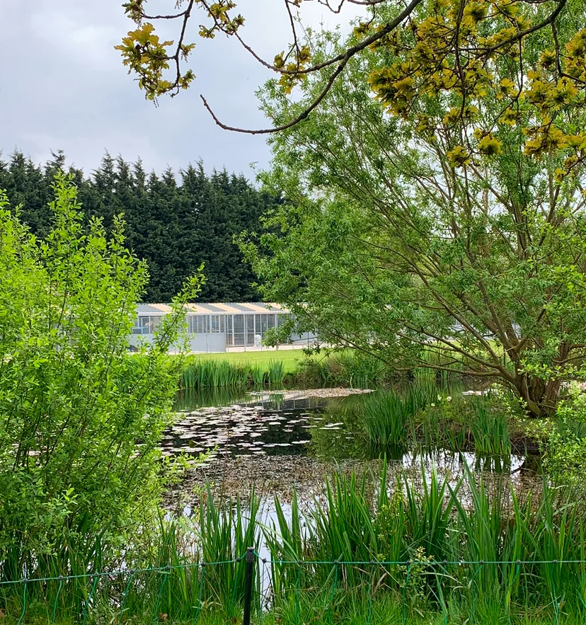 Pond View Kennels - Lincoln pet otel görseli 2