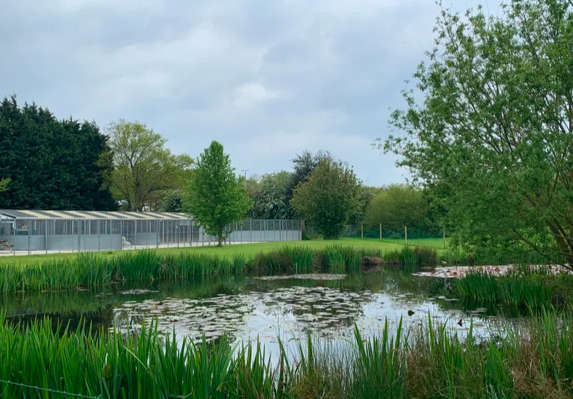Pond View Kennels - Lincoln pet otel görseli 3