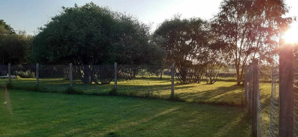 The Paddocks Boarding Kennels & Cattery - Lincoln pet otel görseli 3