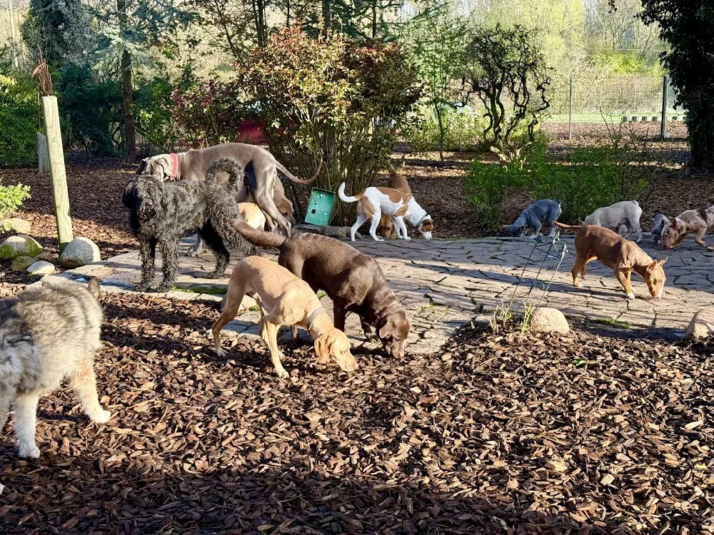 Arnolds-Haustierpension - Lippstadt pet otel