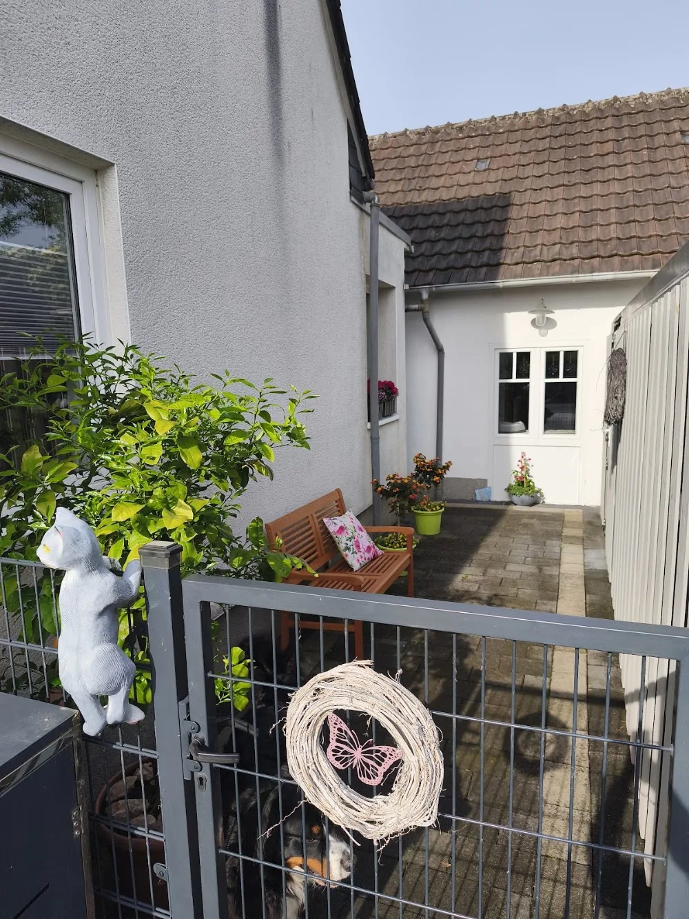 Katzenhotel Remmert - Lippstadt pet otel görseli 3