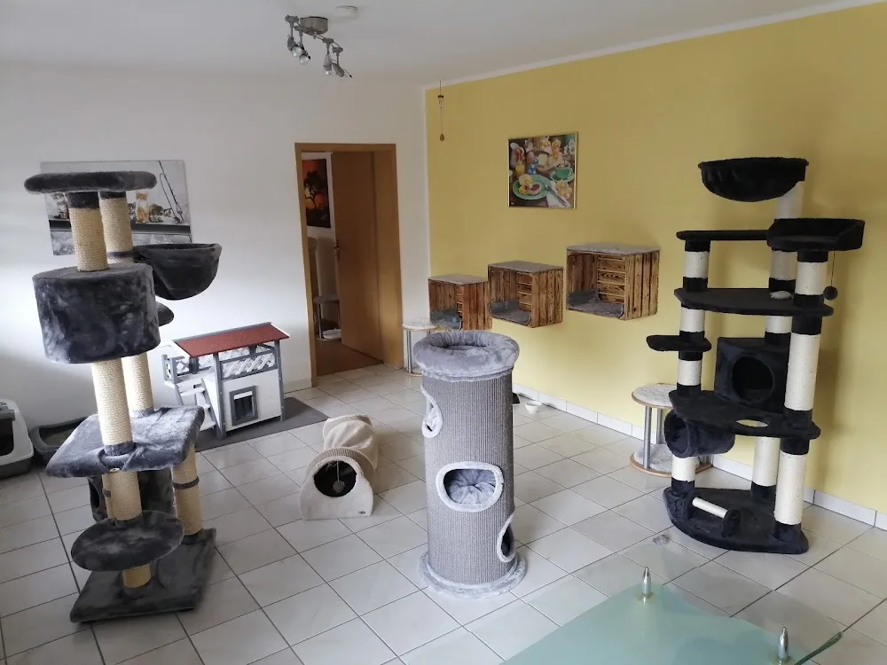 Katzenpension Birgits Katzenstube - Lippstadt pet otel